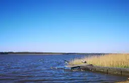 Jezioro Sarbsko: Wędkowanie 2026 Zezwolenia, ryby i najlepsze łowiska