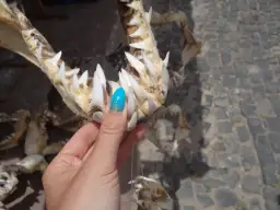 Najlepsze pamiątki z Wysp Zielonego Przylądka, które zachwycą każdego turystę