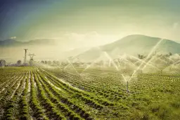 Ile wody zużywa zraszacz? Sprawdź, jak wybrać najefektywniejszy