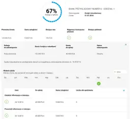 Ile kosztuje Raport BIK? Cena, pakiety i darmowa opcja