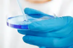 Szalka Petriego: do czego służy i jak wybrać odpowiednią?