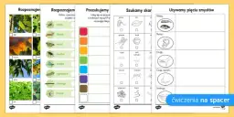 Zajęcia terenowe z przyrody karty pracy - skuteczne metody nauki w terenie
