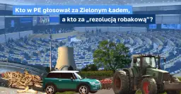 Kto głosował za zielonym ładem? Oto pełna lista europosłów