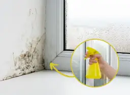Skuteczne sposoby na pozbycie się grzyba z okien i zapobieganie mu