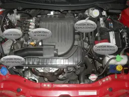 Pod maską samochodu 96 znajdziesz wlew oleju, poziom oleju w silniku, płyn hamulcowy, płyn chłodzący i płyn do spryskiwaczy.