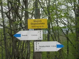 Co oznaczają szlaki górskie i jak je rozpoznać w terenie