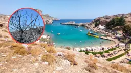 Jakie hotele spłonęły na Rodos? Sprawdź, co się stało z nimi