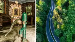 Las Łagiewnicki atrakcje, które zaskoczą każdego miłośnika natury