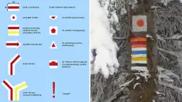 Kolorowe znaki szlaków turystycznych namalowane na drzewie w zimowej scenerii.