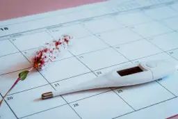 Termometr i kwiat na kalendarzu, symbolizujące dni płodne i cykl menstruacyjny.
