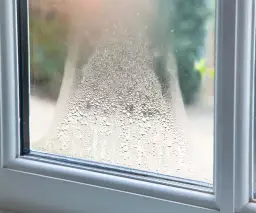 Zaparowane okna w bloku: Jak raz na zawsze pozbyć się wilgoci?