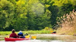 Najlepsze rzeki na kajaki w Polsce: przewodnik po trasach i kosztach