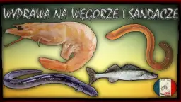 Skuteczna zanęta na węgorza: Domowe przepisy i sekrety połowu