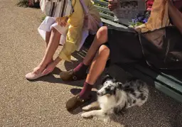 Dwie kobiety siedzą na ławce, prezentując modne buty na lato: różowe baleriny i brązowe klapki. Obok leży pies.