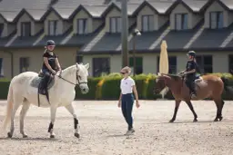 Katowicki klub jeździecki - idealne miejsce na naukę jazdy konnej