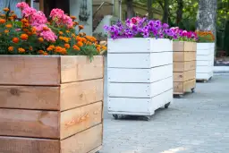 Drewniane skrzynie z kwiatami, idealne do ogrodu. Dowiedz się, jak zrobić donicę z drewna.