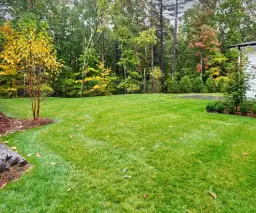 Jak stosować siarczan magnezu na trawnik, aby uniknąć problemów z trawą