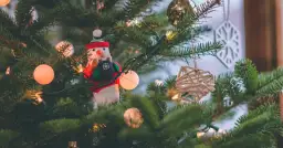 Ile można zarobić na choinkach? Poznaj realne zyski i możliwości