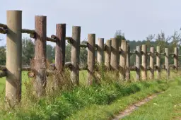 Drewniany płot z grubych słupków, który mógłby stanowić barierę dla uciążliwego sąsiada za płotem.