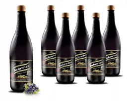 Gdzie kupić napój jałowcowy? Sklepy, marki, ceny i przepis