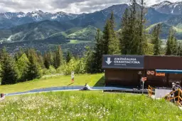 Zakopane: Co zwiedzić? Przewodnik na każdą pogodę i kieszeń!