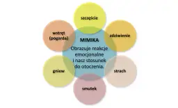 Komunii czy komuni? Rozwiej wątpliwości i pisz bezbłędnie!