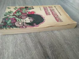 Okładka książki "Po słonecznej stronie" M. Jaworczakowej. Kto jest autorem książki? Oto jest Kasia, która uwielbia czytać.