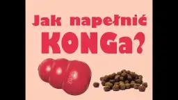 KONG dla psa: Jak używać, napełniać i czyścić? Przewodnik
