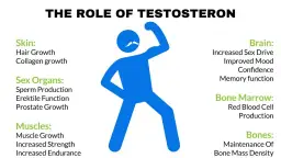 Bieganie a testosteron: Czy Twój trening obniża hormony? Sprawdź!