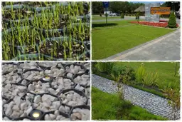 Jaką trawę na podjazd wybrać, by uniknąć problemów z pielęgnacją?