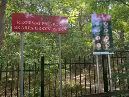 Rezerwat przyrody Skarpa Ursynowska - tajemnice i unikalne ekosystemy