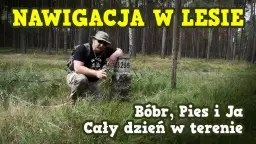 Najlepsze aplikacje do nawigacji w lesie - jak wyjść z lasu