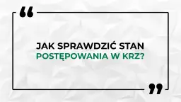 Jak sprawdzić upadłość osoby fizycznej? KRZ darmowy poradnik.