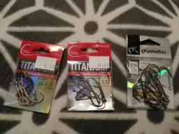 Skuteczny haczyk na leszcza: Rozmiar, kształt, przynęta i błędy