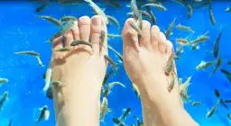 Rybki które jedzą martwy naskórek: korzyści, bezpieczeństwo i pielęgnacja