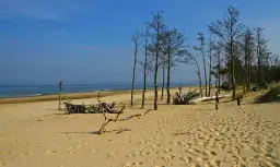 Rezerwaty przyrody w Gdańsku: co warto zobaczyć i jak uniknąć błędów podczas zwiedzania