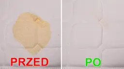 Jak wyczyścić materac z moczu kota i pozbyć się nieprzyjemnych zapachów
