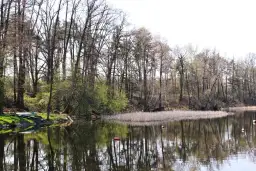 Jezioro Lucieńskie – idealne miejsce na relaks i wędkowanie w naturze