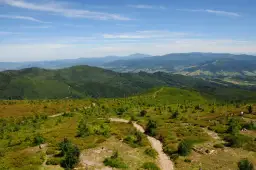 Rezerwat przyrody Barania Góra – tajemnice i niezwykłe atrakcje