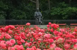 Opinogóra atrakcje: odkryj nieznane skarby romantycznego parku