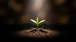 Krew w kale u dziecka: Kiedy się martwić? 9 alarmujących objawów