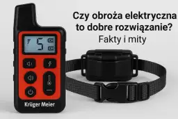 Pilot i obroża do szkolenia psów na neutralnym tle.