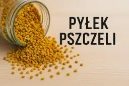 Pyłek pszczeli: Jak zażywać, by w pełni wykorzystać jego moc?