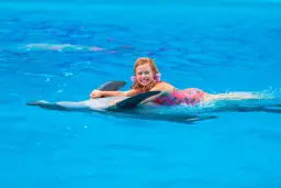 Pływanie z delfinami w Polsce: niemożliwe? Sprawdź alternatywy