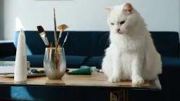 Twoja kotka zaginęła? Sprawdź, jak ją odnaleźć i pomóc jej wrócić