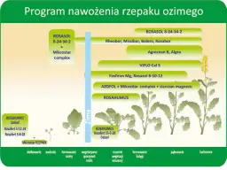 Jaki nawóz do żurawki: 8 skutecznych metod nawożenia