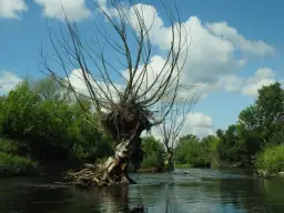 Spływy kajakowe Bzurą: Przewodnik po trasach, cenach i organizacji