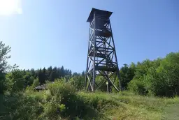 Drewniana wieża widokowa pod Jaworzem góruje nad zielonym lasem. W oddali widać mały domek.