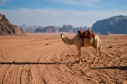 Jordania czy jest bezpiecznie? Sprawdź, co musisz wiedzieć przed podróżą