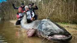 Ile jest rzek w Polsce? Zaskakujące liczby i ciekawostki o wodach